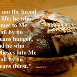 Bread of Life 1